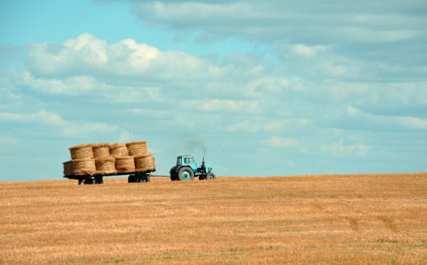 У Србији регистровано 270.000 пољопривредних газдинстава