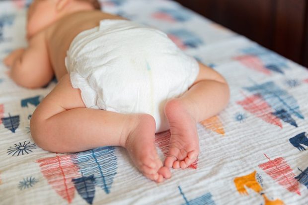 Радосне вести из Бетаније, Нови Сад богатији за 28 беба