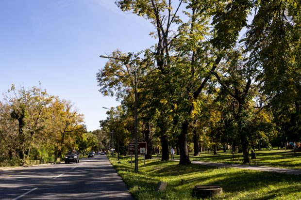 Данас сунчано и мало свежије, темепратура до 31 степен