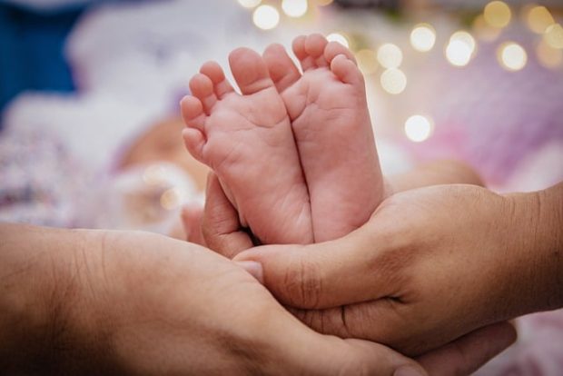 Радосне вести из Бетаније, Нови Сад богатији за 32 бебе