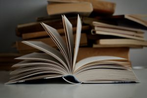Милићевић предао 350 буквара и књига на српском српској деци у Словенији