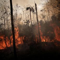 44.000 VOJNIKA BRANI PLUĆA SVETA: Sva sredstva uključena u borbu protiv požara u Amazoniji