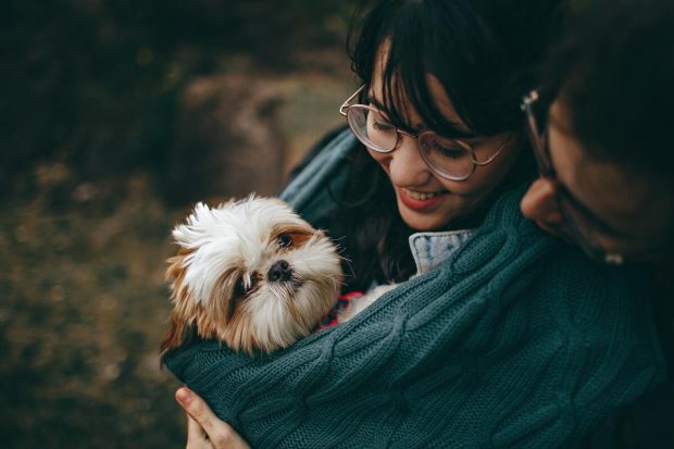Покажите разумевање: Ово је 5 разлога због кога је псу тешко да се навикне на нове власнике