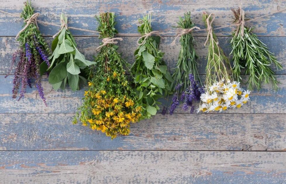 5 najboljih biljaka za ženske boljke: Otkrivamo vam recepte za lekovite čajeve