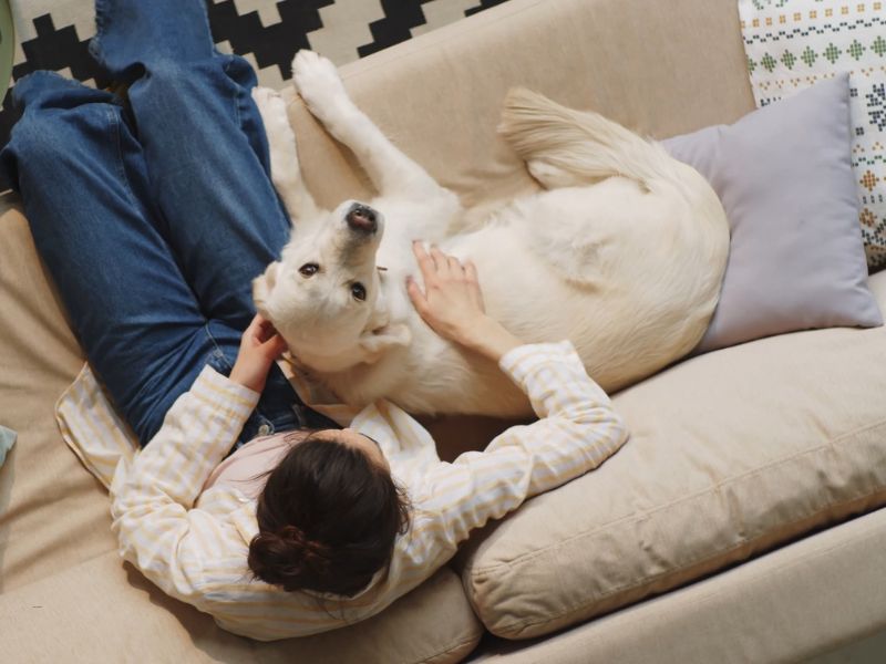 5 znakova da vaš pas ima višak kilograma (i kako da reagujete)