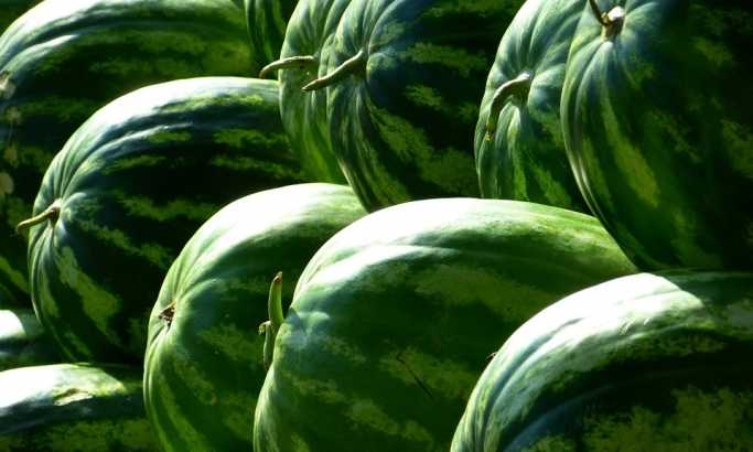 5 znakova koji otkrivaju da je lubenica koju ste kupili otrovna