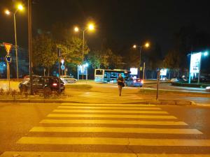 65.000 evra firmi iz Beograda da izabere i osvetli najnebezbedniji pešački u Nišu