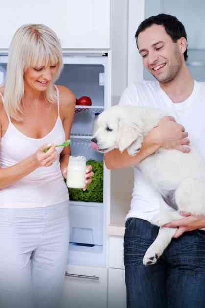 7 zdravih namirnica koje možete uvrstiti u ishranu svog psa