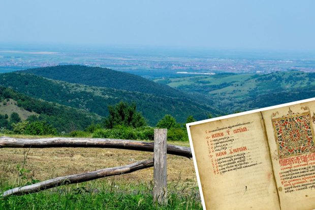 Историја заштите природе у Србији стара скоро 700 година – Душанов законик први говорио о сечи шума
