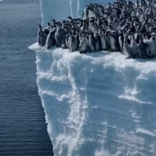 700 mladunaca carskih pingvina skočilo SA LEDENE LITICE: Zabeležena najčudnija masovna reakcija ove vrste