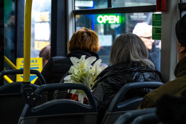 Поводом 8. марта бесплатан градски и приградски аутобуски превоз за све припаднице лепшег пола