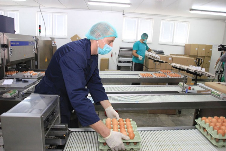 “AC Food” proizvodnjom jaja vraća staru slavu “Agrokomerca”