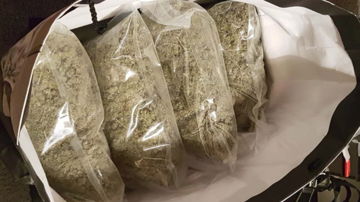 AKCIJA MUPA U BUJANOCU: Zaplenjeno više od 15 kilograma marihuane