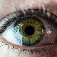 AMERIČKI NAUČNICI FRAPIRALI SVET: Otkriven čudan mehanizam unutar ljudskog oka, izaziva privremeno SLEPILO! (VIDEO)