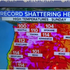 AMERIKA SE ZAPALILA, VRUĆINA OPASNA PO ŽIVOT! Temperature bi mogle da nadmaše dosadašnje rekordne