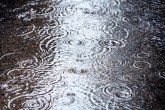 AMSS: Oprez zbog kiše i klizavih kolovoza