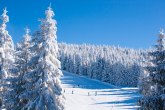 ANKETA: Biramo najbolju planinu u Srbiji za zimske čarolije