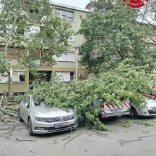 APOKALIPTIČNO NEVREME NA PUTU KA SRBIJI! Olujni vetar ćupa drveće po Hrvatskoj, u nekim delovima zavejao i sneg iz Sibira