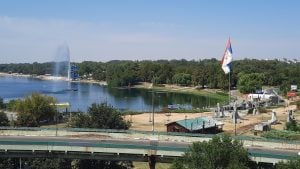 Ada Ciganlija nije samo raj „za pivo i roštilj“, već i jedino stanište retke gljive u Srbiji
