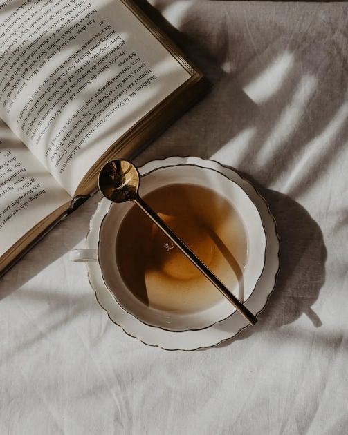 Adaptogeni su zimski wellness must-have: Kako mogu transformisati naše dnevne rituale (i zdravlje)?