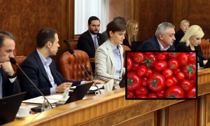 Afera paradajz! Vlada Srbije odlučila i izdala naređenje: Vanredna kontrola uvoza voća i povrća u našu zemlju!
