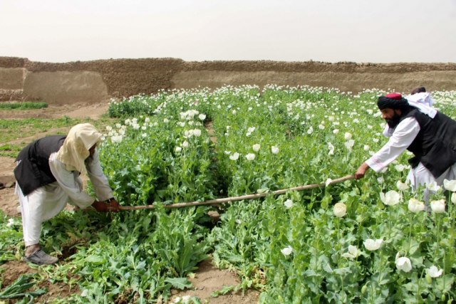 Afganistan više nije najveći proizvođač opijuma