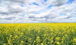 Agencija za životnu sredinu EU apeluje na manju upotrebu pesticida