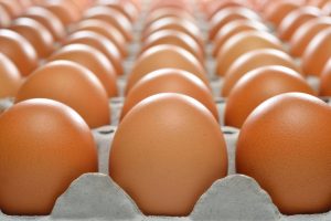 Agrar: Srpska jaja se najviše izvoze u regionu