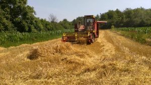 Agrosmart: Policija uhapsila poljoprivrednika u Silbašu dok se vraćao s njive