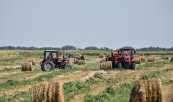 Agrosmart: Vrednost poljoprivredne proizvodnje u 2018. procenjena na 5,7 milijardi dolara