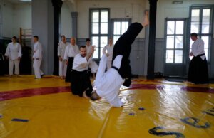 Aikido trofej Kragujevca i seminar u Sokolani
