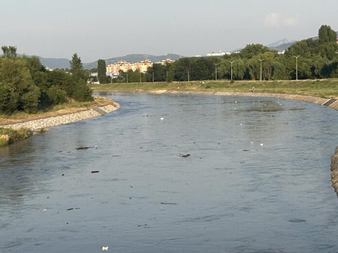Akcija čišćenja obale reke u nedelju u Nišu