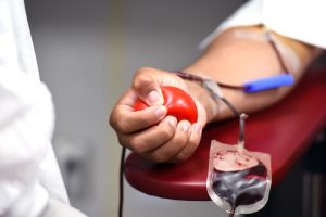 Akcija dobrovoljnog davanja krvi na stadionu Crvene zvezde