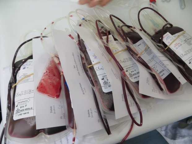 Akcija dobrovoljnog davanja krvi u Sportskoj hali