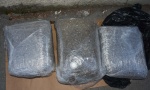 Akcija novosadske policije: Zaplenjeno 13 kilograma marihuane