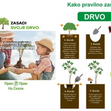 Akcija sadnje milion stabala jasena u Srbiji