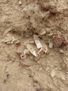 Albanci prekopali srpsko groblje u Severnoj Mitrovici; Napravili put preko kostiju sahranjenih VIDEO