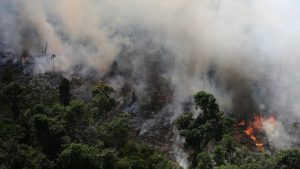 Amazonija u požaru: Koliko je situacija loša