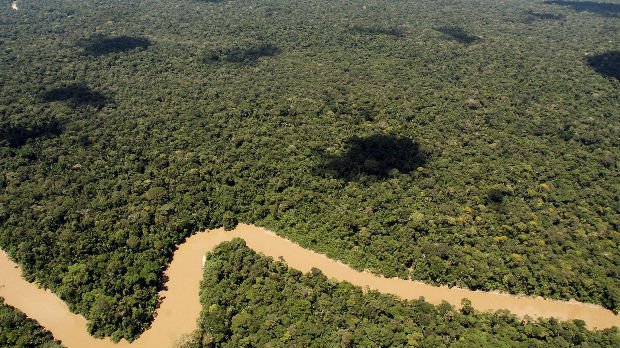 Amazonsko pleme linčovalo Kanađanina zbog ubistva nadrilekara