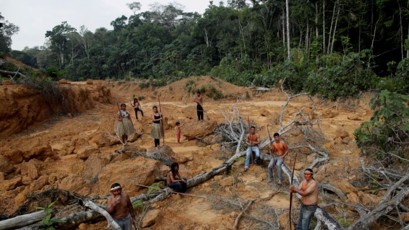 Amazonsko pleme se sprema za borbu s ilegalnim drvosečama