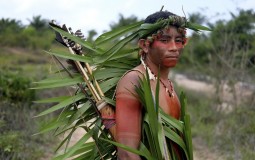 
					Amazonsko pleme se sprema za borbu s ilegalnim drvosečama 
					
									