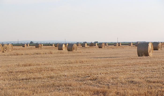Anketari će od 1. oktobra obilaziti sva poljoprivredna gazdinstva u Srbiji