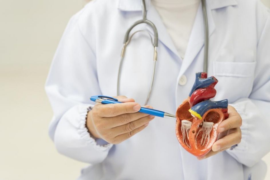 Aorta priznata kao zaseban ljudski organ: Lekari očekuju poboljšanja u liječenju