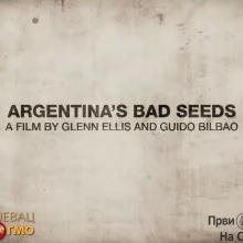 Argentinsko lose seme