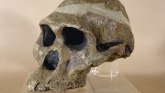 Arheologija i istraživanja: Ostaci pećinske žene milion godina stariji nego što se mislilo