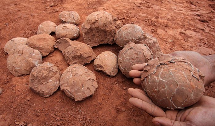 Arheolozi u Kini pronašli fosilna jaja dinosaurusa