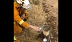 Australija se priprema za novu dozu pustošenja požarima
