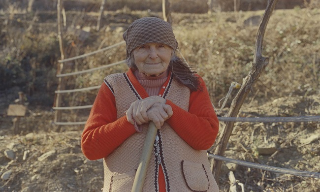 BELDOKS: Srpska premijera filma „Obična kruška” slovenačkog reditelja Gregora Božića