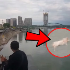 BEOGRAĐANE ZGROZIO PRIZOR: Ono što su ugledali u Dunavu ispod mosta tera na povraćanje (VIDEO)
