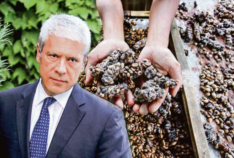 BIVŠI PREDSEDNIK NAŠAO POSAO: Boris Tadić prodaje kafu od mačjeg izmeta! ČITAJTE U KURIRU